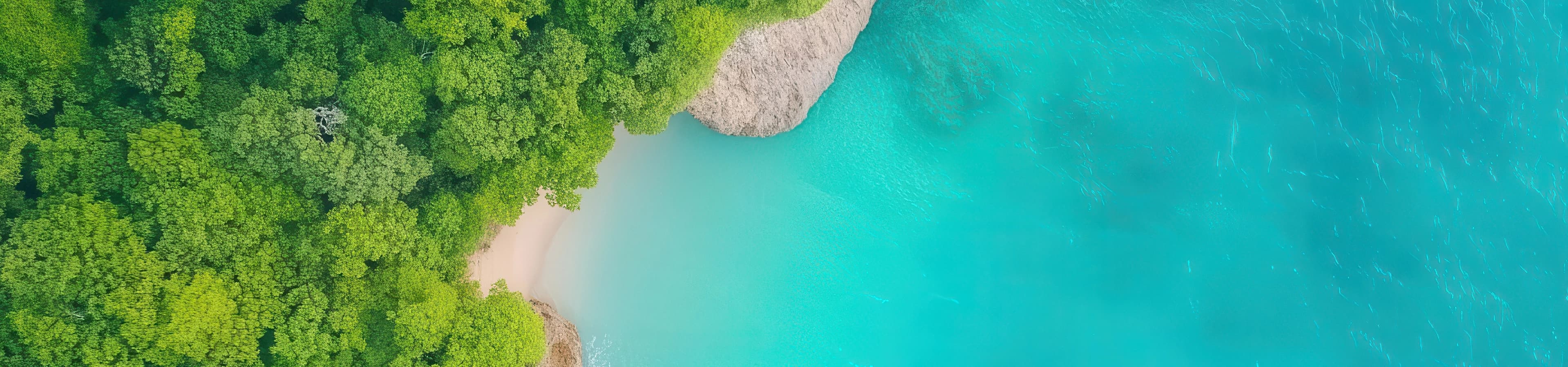 Aerial view of a forested coastline meeting turquoise water